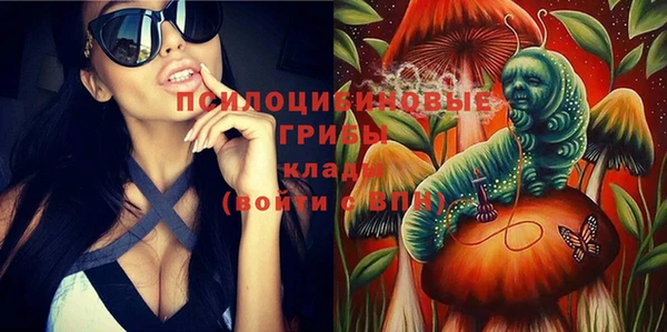 хмурый Протвино