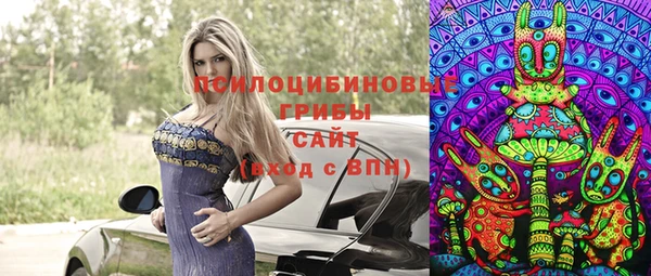 стаф Армянск