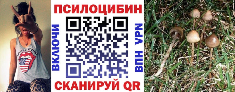 Галлюциногенные грибы мицелий что такое Олёкминск